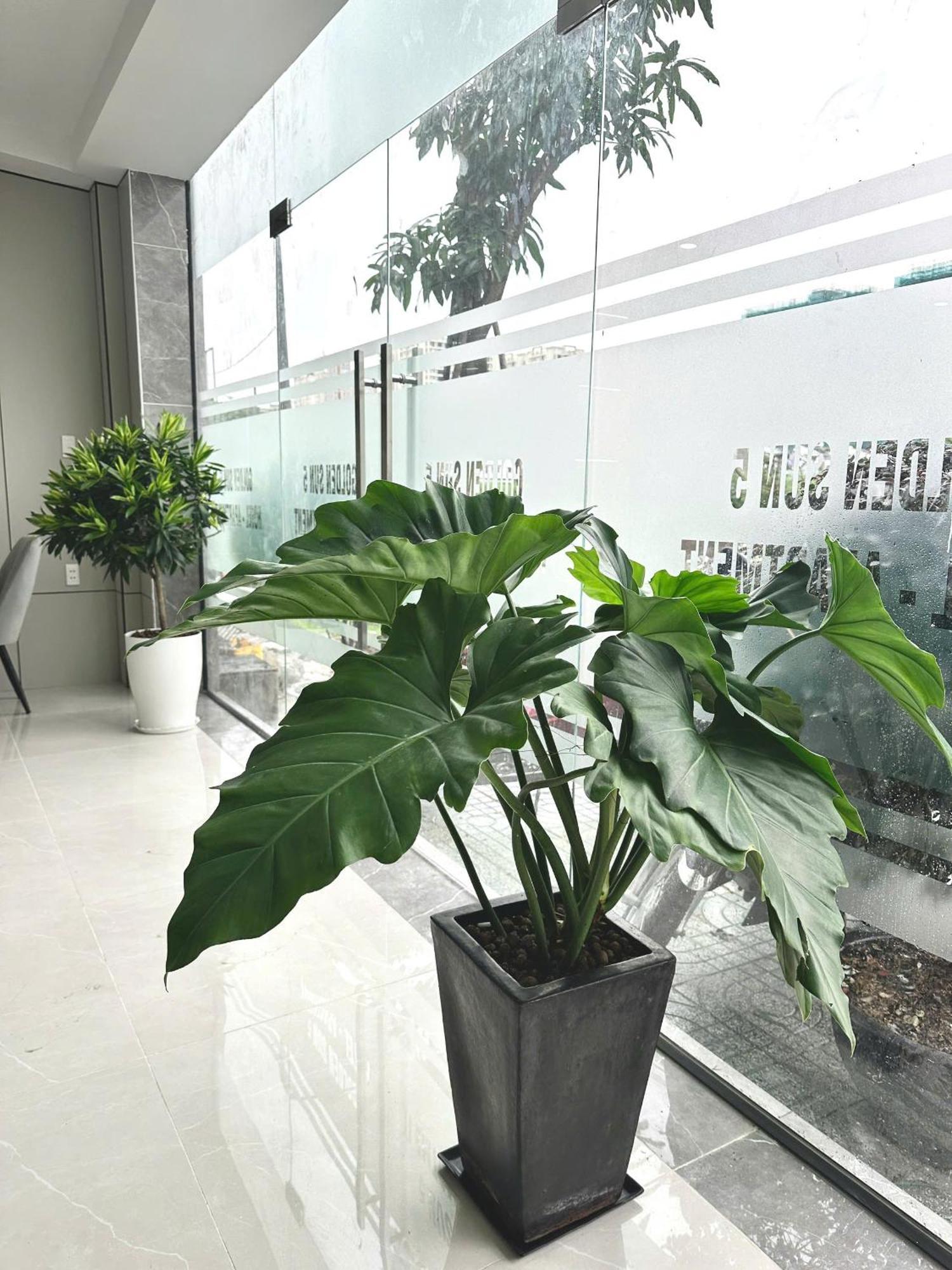 Hotel Golden Sun 5 Ho Chi Minh City